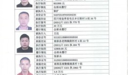 宜阳县新闻爆料网最新公告,聚焦民生热点，共筑和谐家园